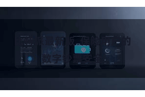 比特派最新版 保险用户的数字钞票安全