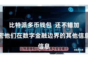 比特派多币钱包  还不错加密他们在数字金融边界的其他信息