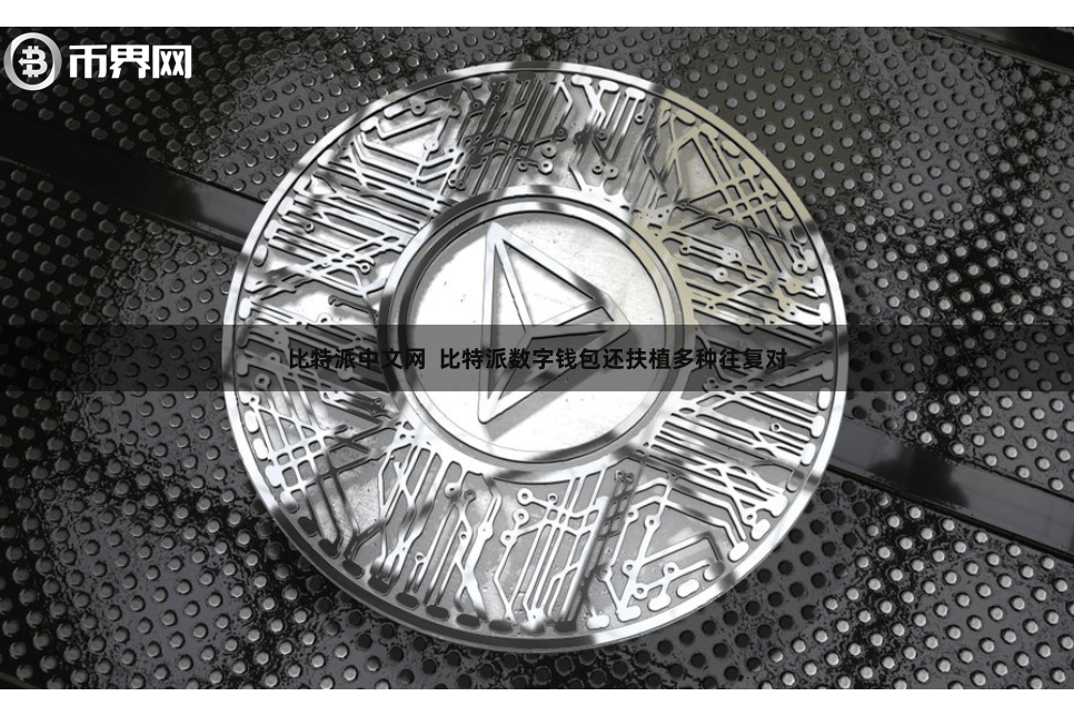 比特派中文网  比特派数字钱包还扶植多种往复对