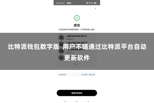 比特派钱包数字版  用户不错通过比特派平台自动更新软件